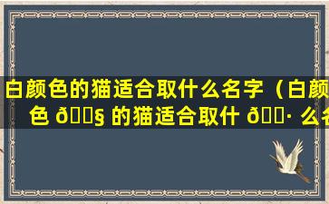 白颜色的猫适合取什么名字（白颜色 🐧 的猫适合取什 🌷 么名字好听）